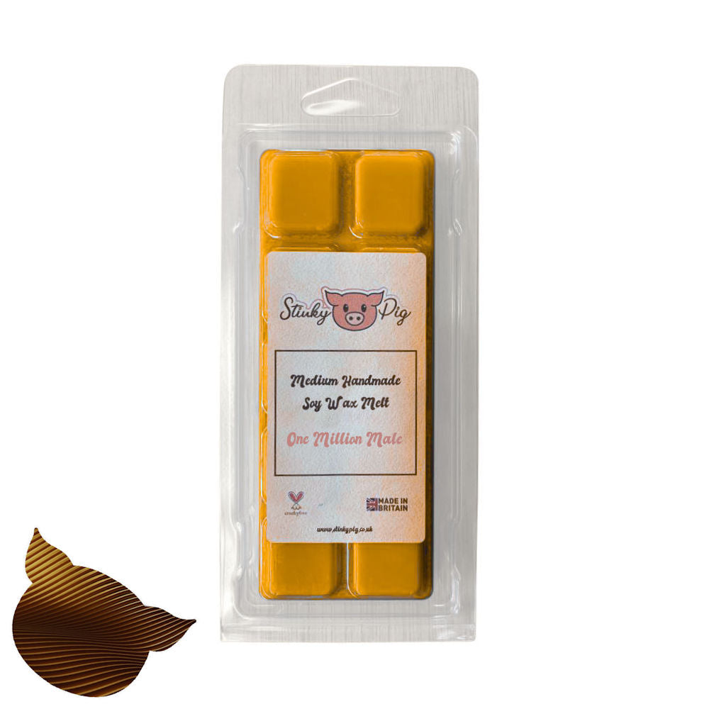 Millionaire Man Medium Wax Melt Clamshell Bar