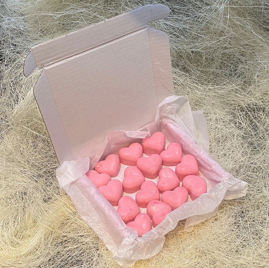 16 Summer Fruits Small Wax Hearts