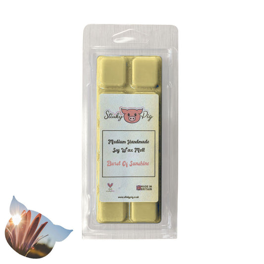 Burst Of Sunshine Medium Wax Melt Clamshell Bar