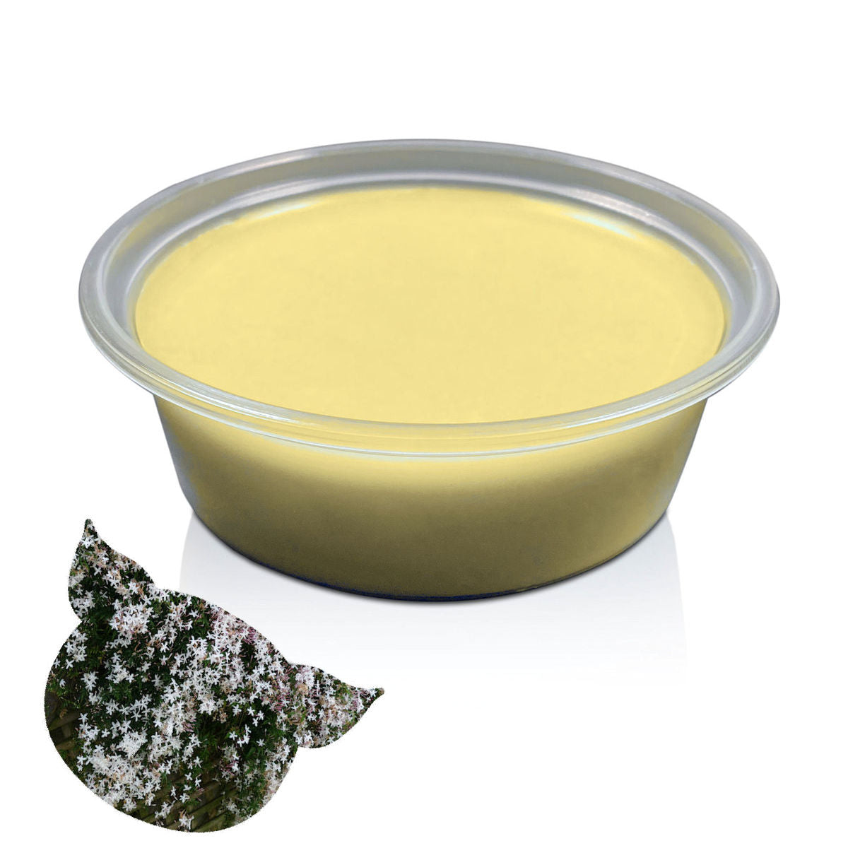 Jasmine Medium Wax Melt Pot