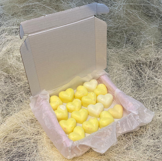 16 Time To Unwind Small Wax Hearts