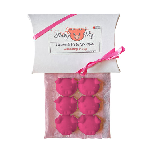 6 Strawberry & Lily Wax Melt Pigs